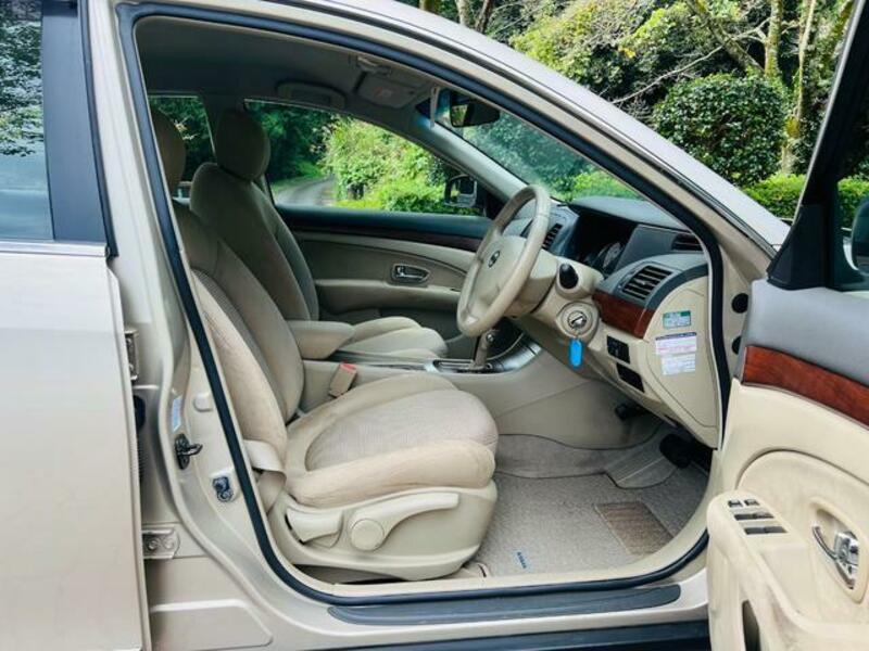 BLUEBIRD SYLPHY