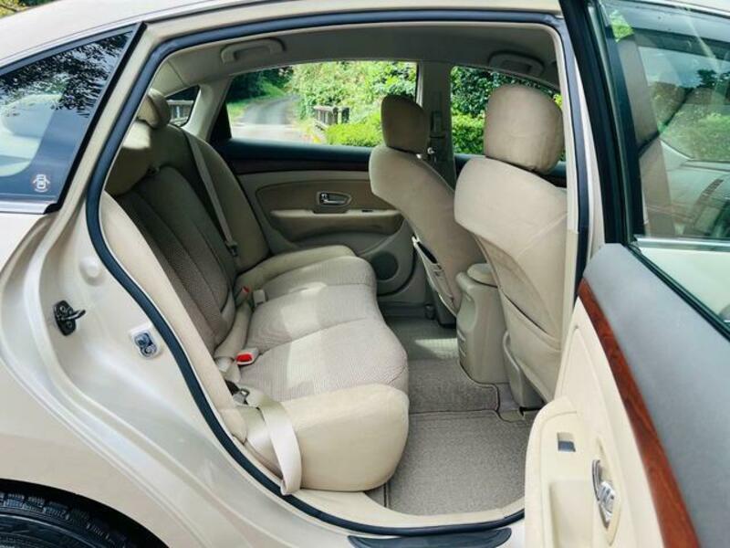 BLUEBIRD SYLPHY