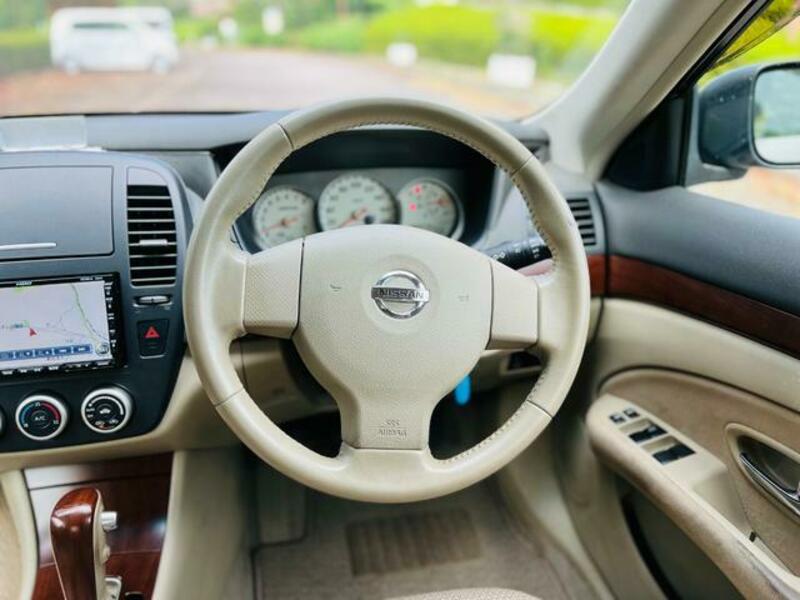 BLUEBIRD SYLPHY