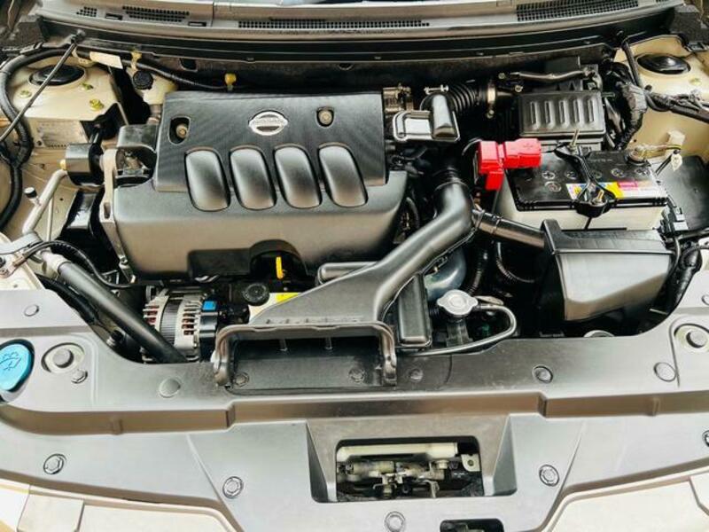 BLUEBIRD SYLPHY