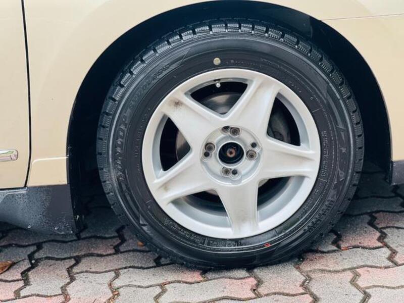 BLUEBIRD SYLPHY