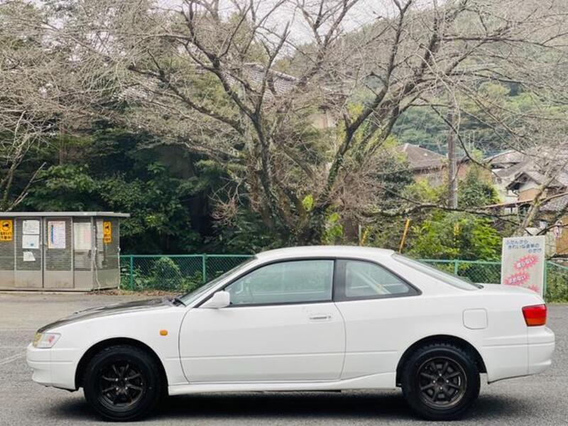 COROLLA LEVIN