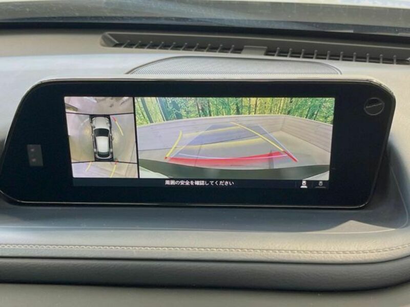 CX-30