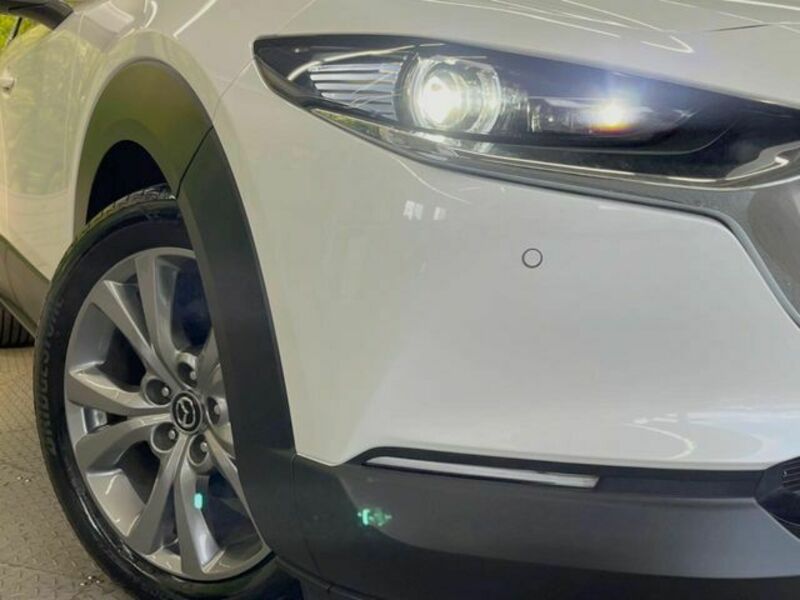 CX-30