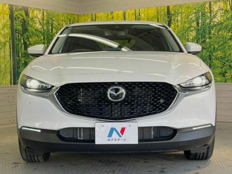 CX-30