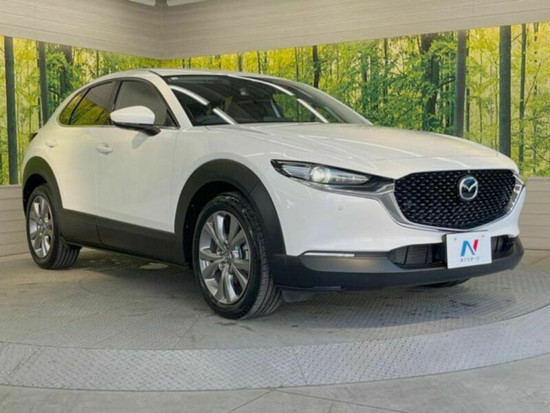 CX-30