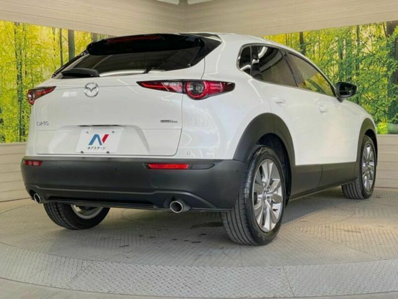CX-30