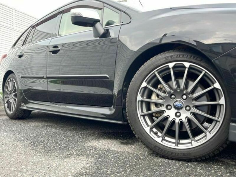 LEVORG