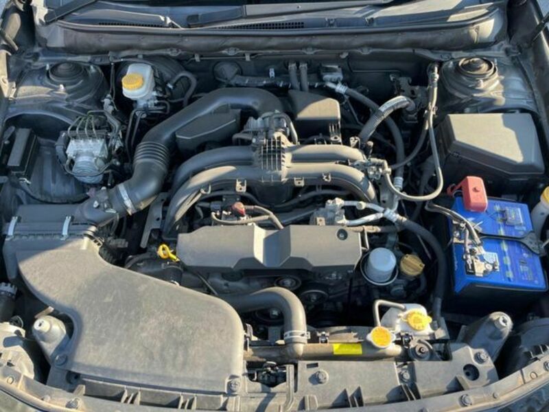 LEGACY OUTBACK
