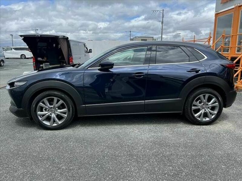 CX-30