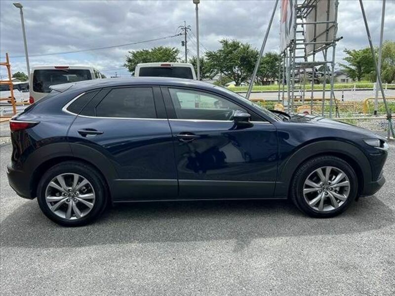 CX-30