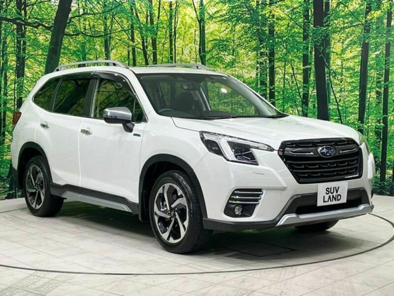 FORESTER