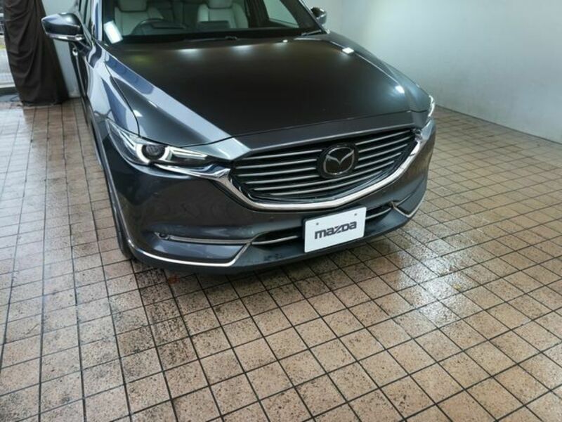 CX-8
