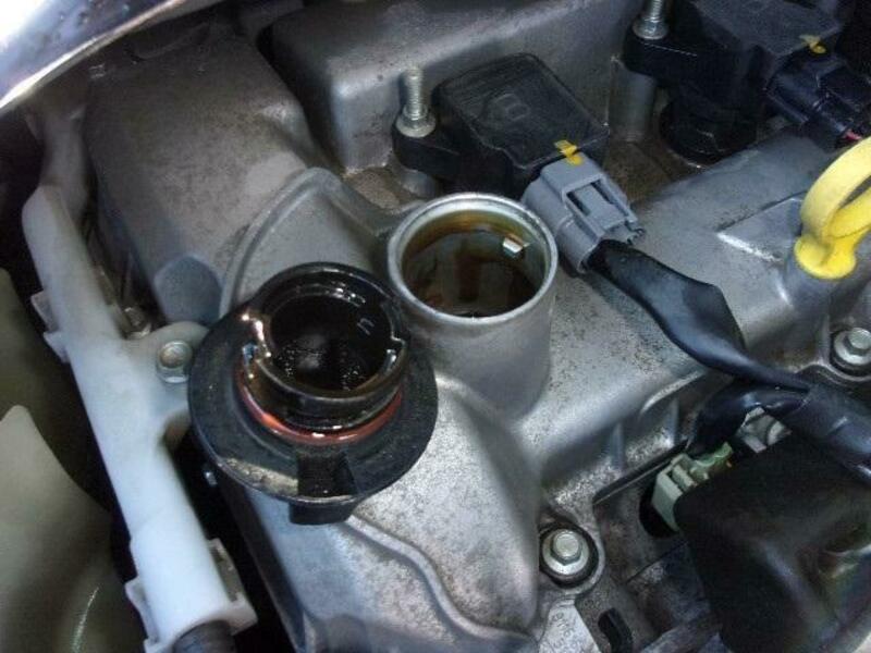 BONGO VAN