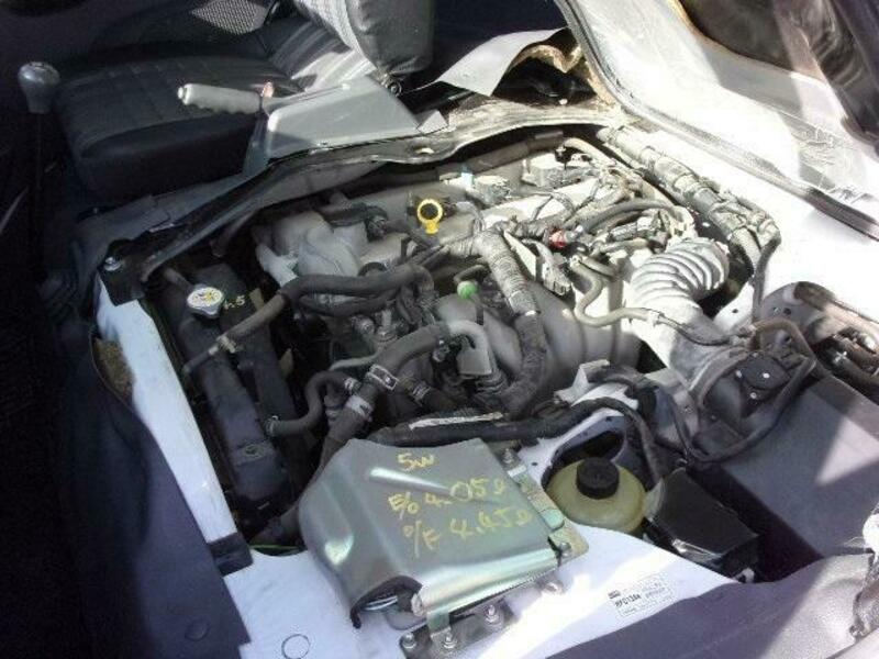 BONGO VAN