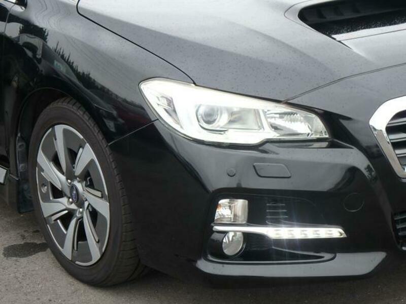 LEVORG