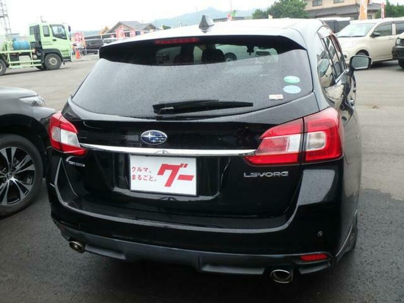 LEVORG