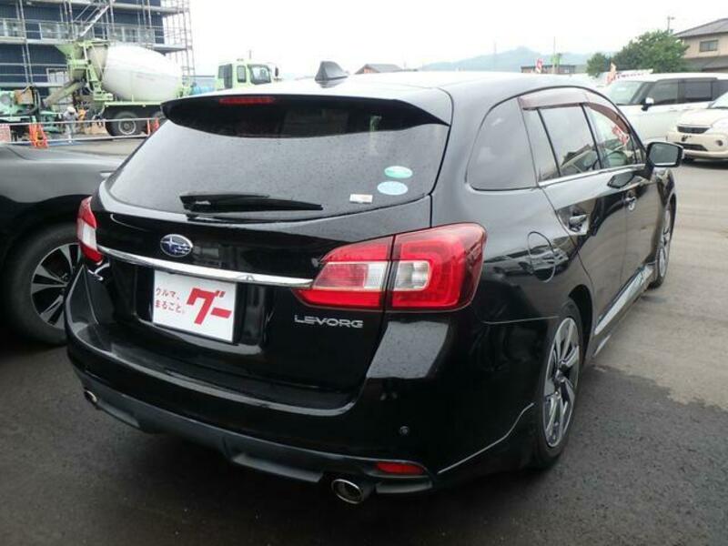 LEVORG