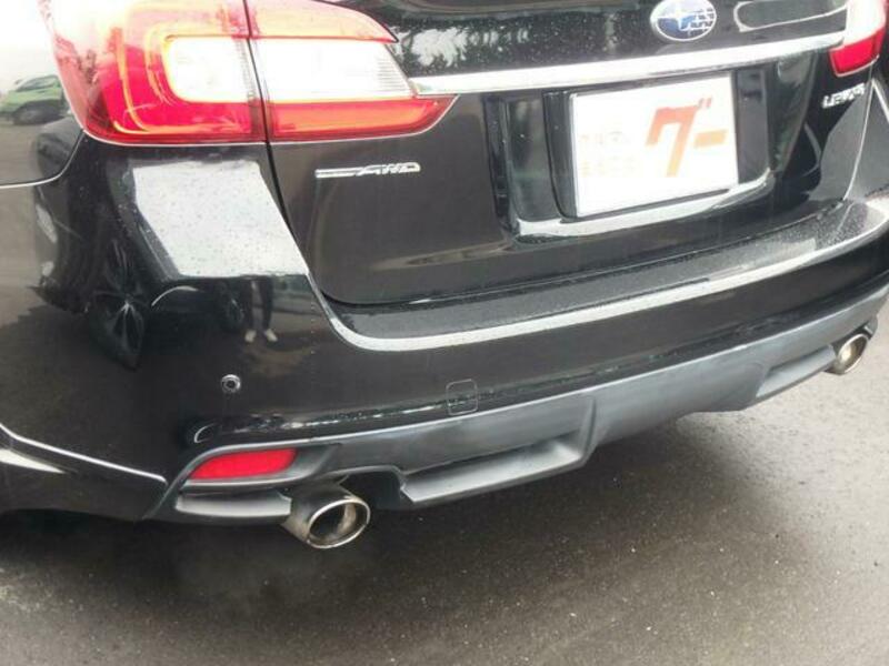 LEVORG