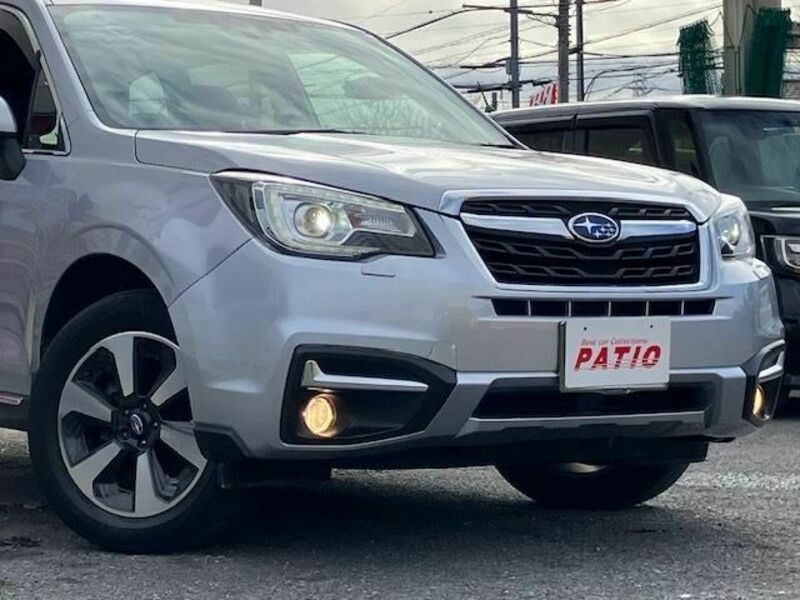 FORESTER