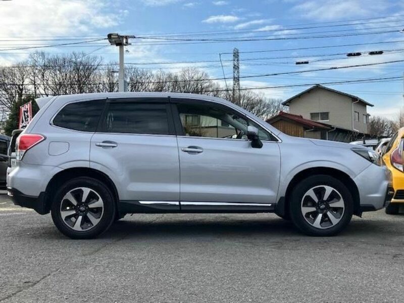 FORESTER