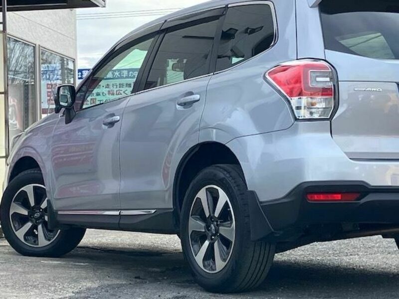 FORESTER