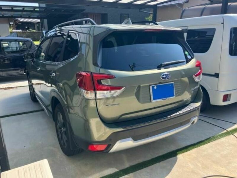 FORESTER