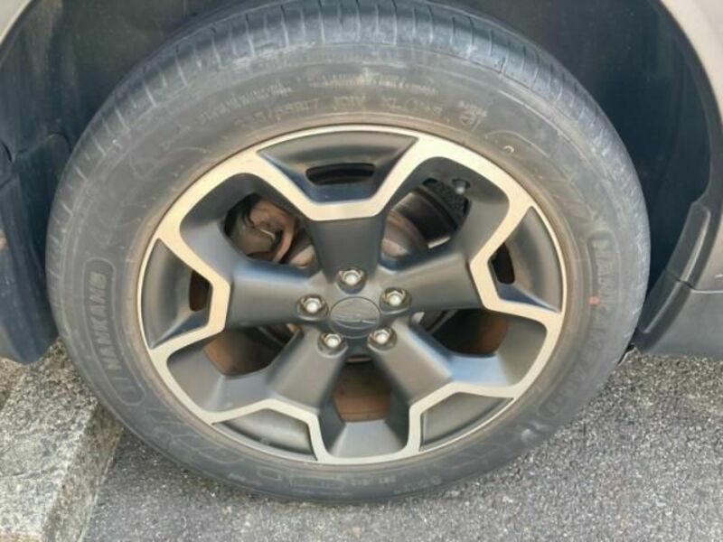XV