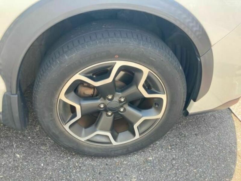 XV