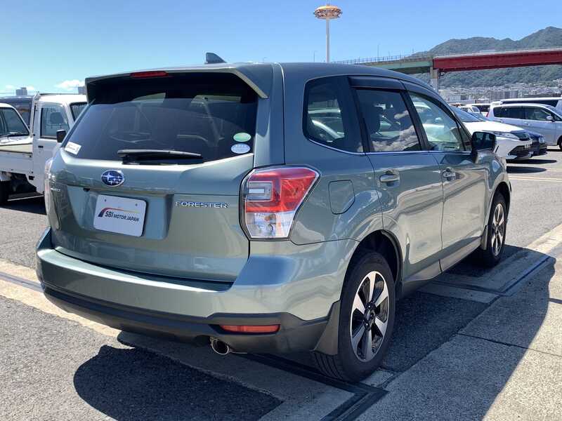 FORESTER