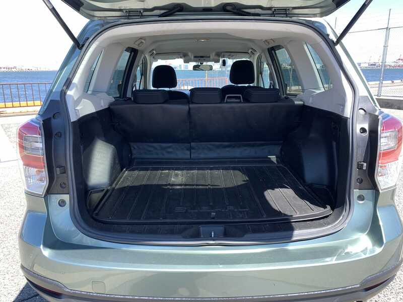 FORESTER