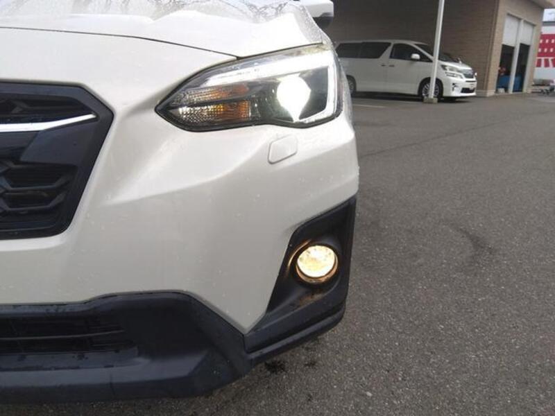 XV