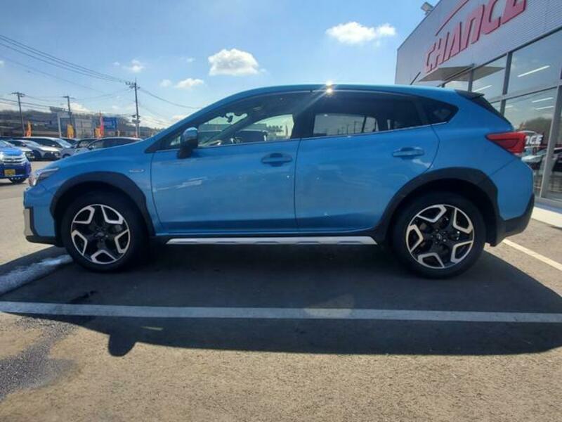 XV