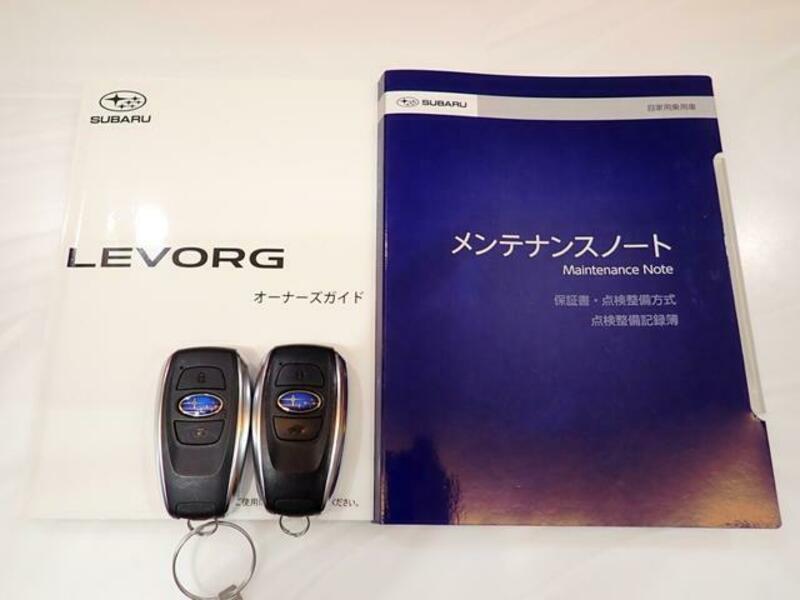 LEVORG