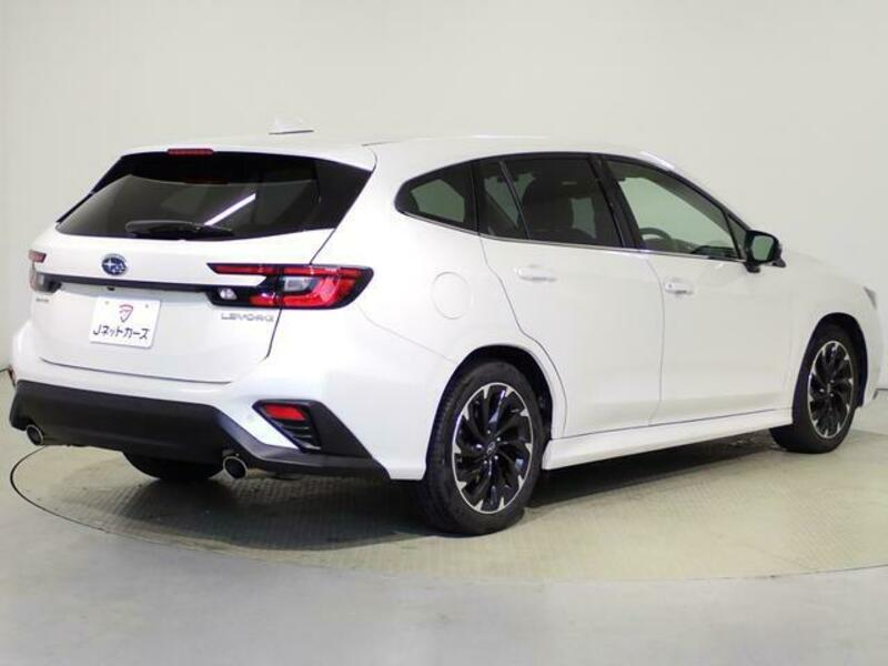 LEVORG