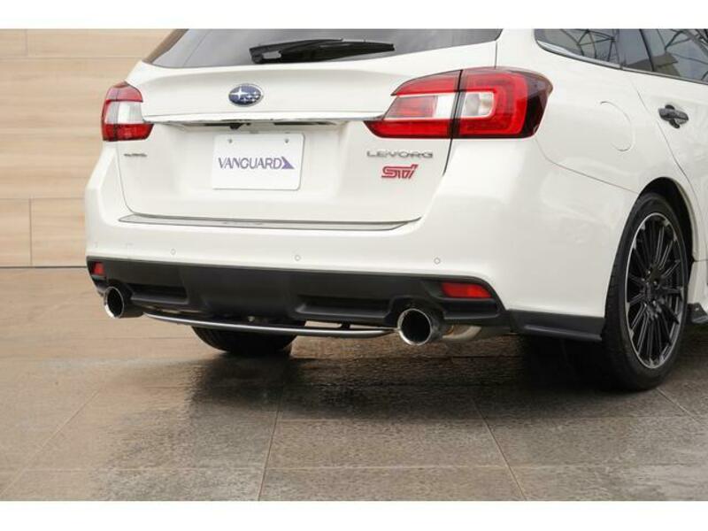 LEVORG