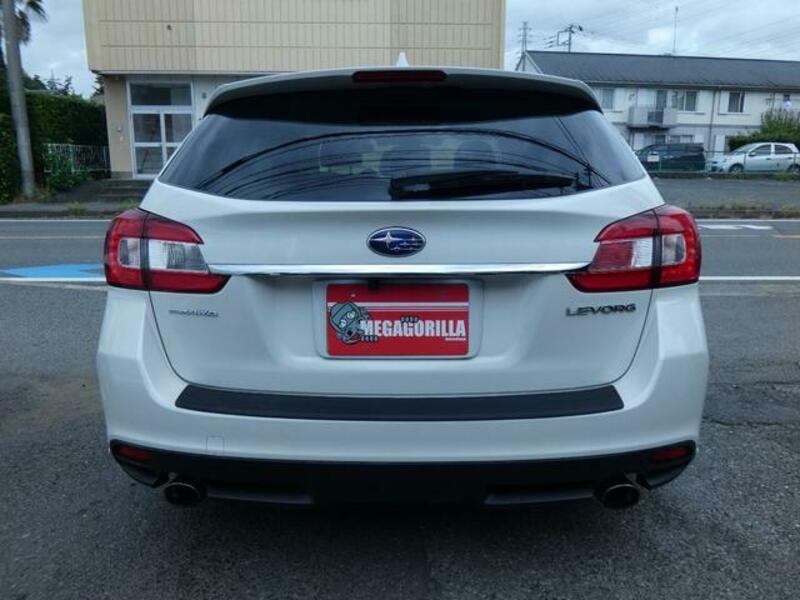 LEVORG