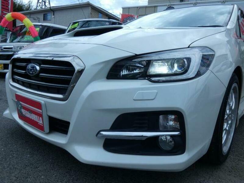 LEVORG