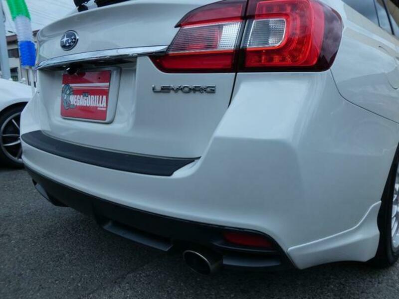 LEVORG