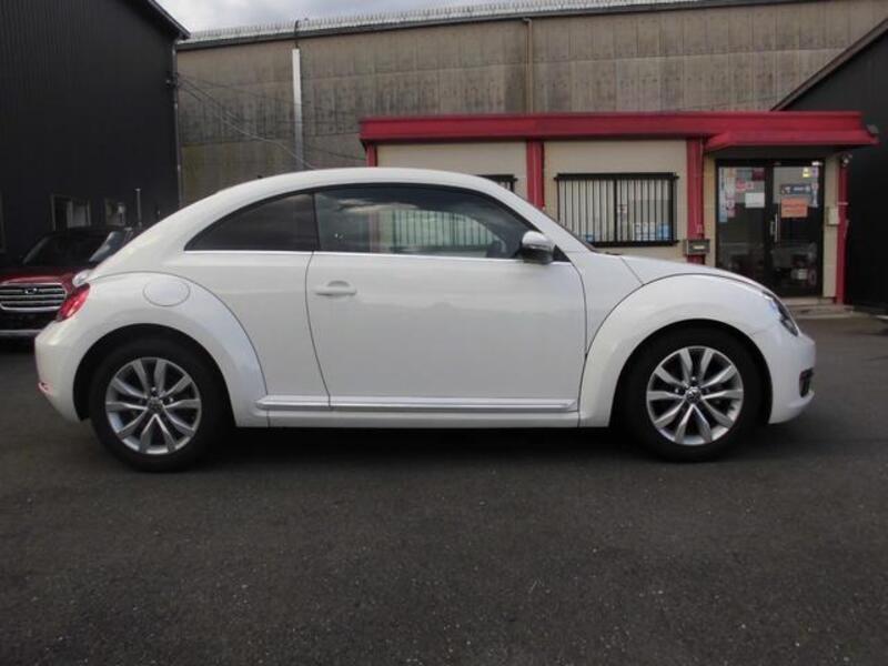 THE BEETLE
