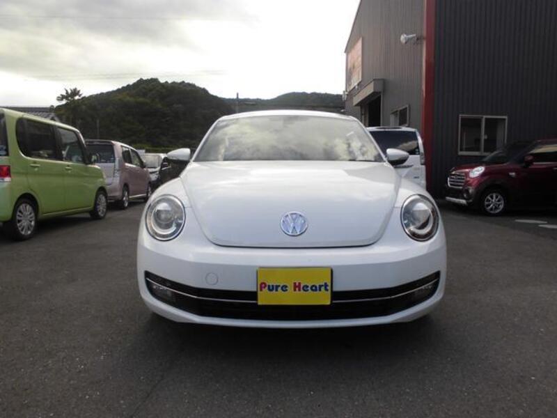 THE BEETLE