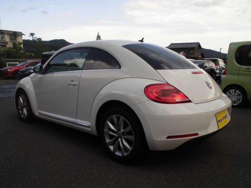 THE BEETLE