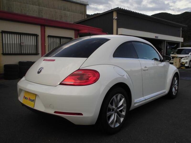 THE BEETLE