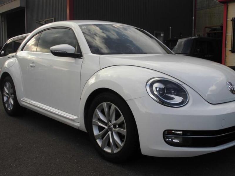 THE BEETLE