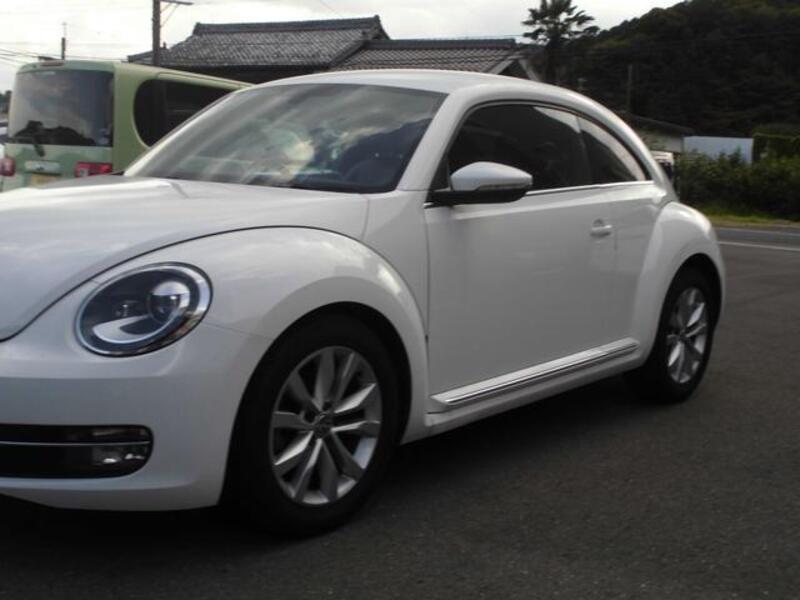 THE BEETLE