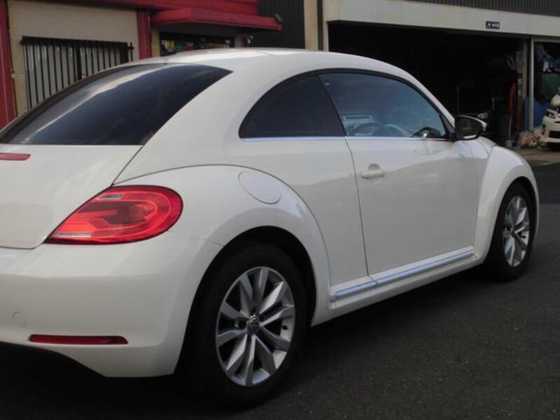 THE BEETLE