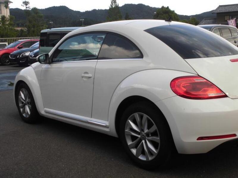 THE BEETLE
