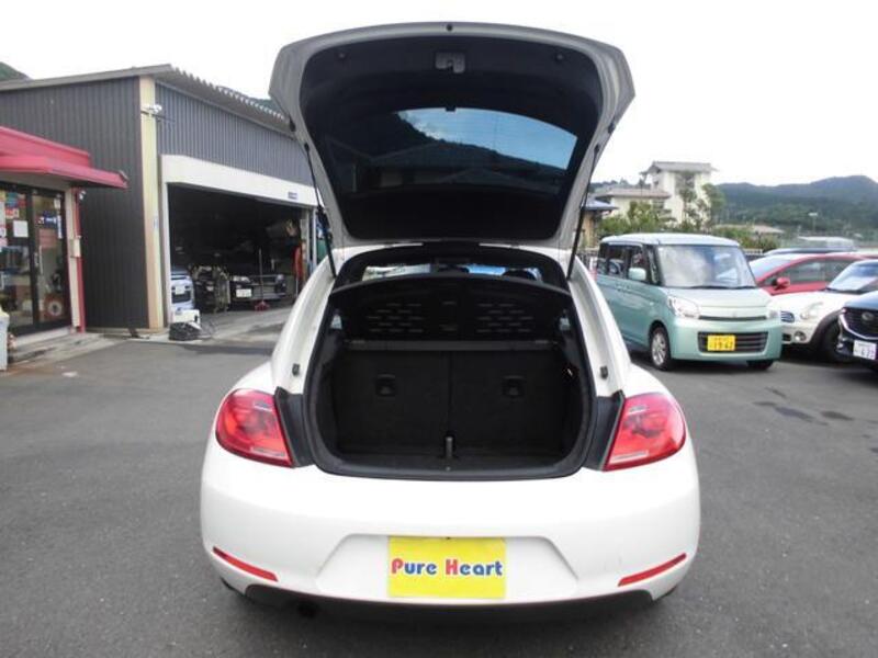 THE BEETLE