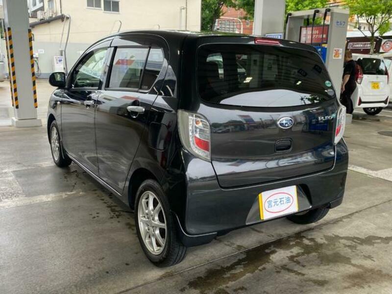 PLEO PLUS