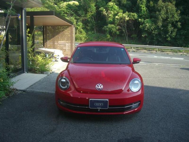 THE BEETLE